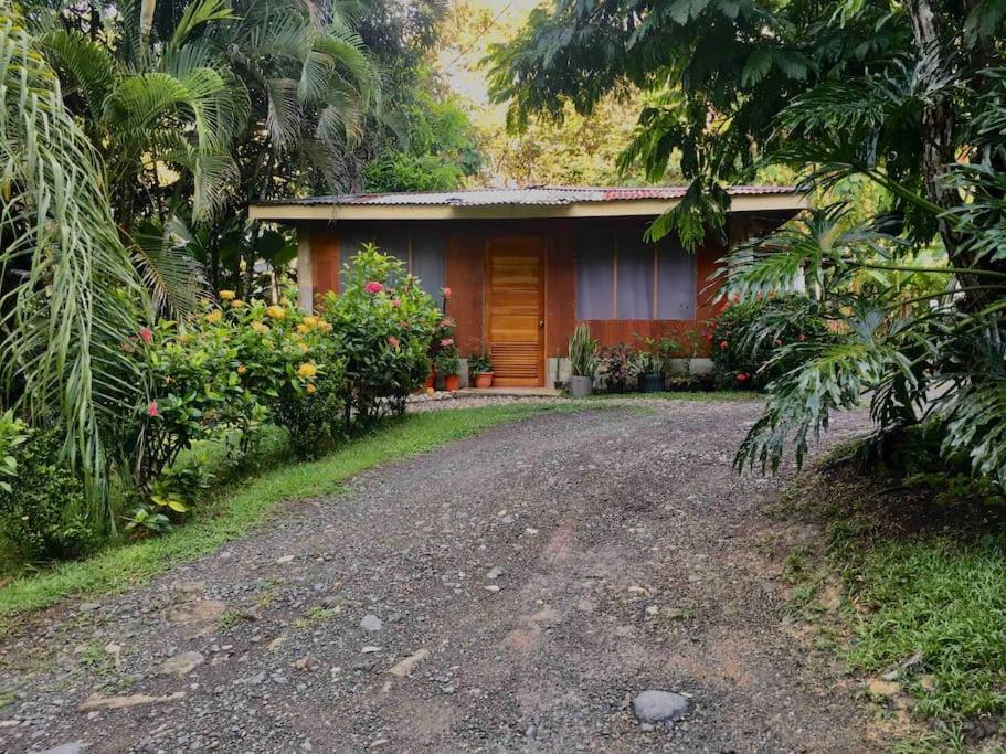 Casa Sol Lejlighed Puerto Jiménez Eksteriør billede