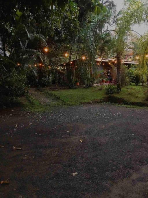 Casa Sol Lejlighed Puerto Jiménez Eksteriør billede